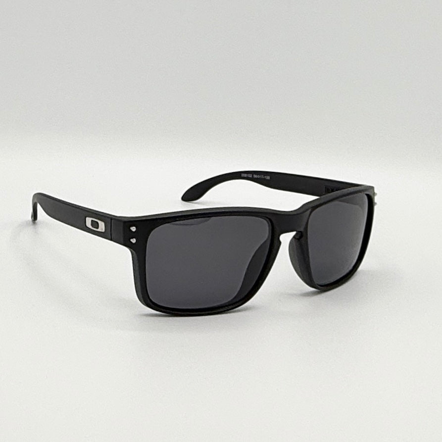 Holbrook Polarized